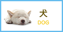 犬-DOG-