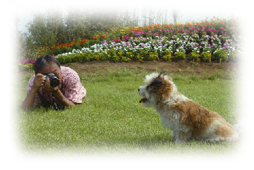 写真家・森田米雄